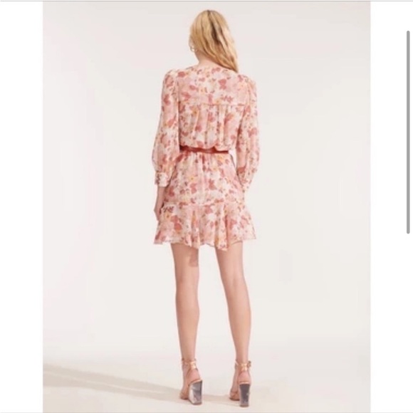 NWT VERONICA BEARD Cybil Mini Dress Silk Melon Pink Floral Long Sleeve Size 2 - Picture 3 of 13
